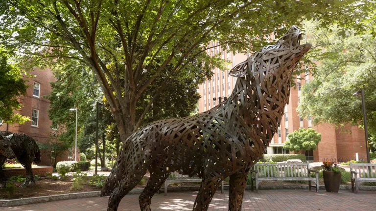 Metal wolf sculpture beneath trees on the NC State campus